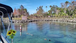 Crystal River Scenery